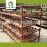 High Quality Light Quarters Walnut Kernels Market Price thumbnail-5