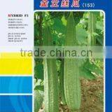 Linong Luffa Seeds Acutangula Seeds