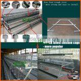 Hot Sale for China Egg Chicken Cage(ISO9001) for Poultry Farming thumbnail-2