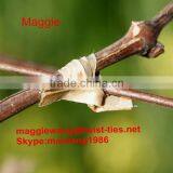 Plant Twist Ties for Grape thumbnail-1