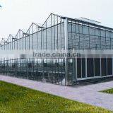 Economical Large Multi- Span Greenhouse for Tomatos thumbnail-2