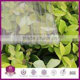 Transparent Multi Wall Polycarbonate Sheet/triple Wall thumbnail-1