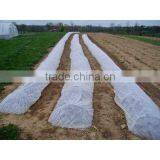 UV Nonwoven Landscape Fabric for Agriculture and Crop Protection thumbnail-1