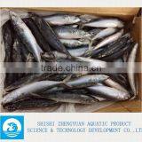 200-300g Frozen Pacific Mackerel Fish thumbnail-1