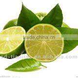 Non Dairy Creamer for Acid Drink thumbnail-1