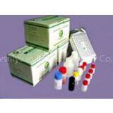 Porcine Japanese B Encephalitis Virus Ab ELISA Kit thumbnail-2