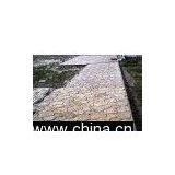 Paving Stone thumbnail-1