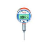 ANCN brand digital temperature gauge