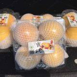 Chinese Frresh Peach thumbnail-4