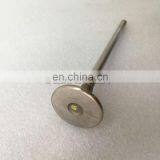 Cummins M11 ISM QSM ISM11 QSM11 Intake Valve 3800636 3804533 4955239 4926069 3080975 3417778