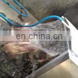 300-500 Chicken Poultry Plucking Machine for Sale thumbnail-1