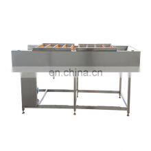 Low Price Fruit Cleaning Line Cleaner Fruit Bubble Cleaning Machine Ginger Washing Machine thumbnail-5
