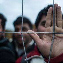 China Factory Welded Wire Mesh thumbnail-2