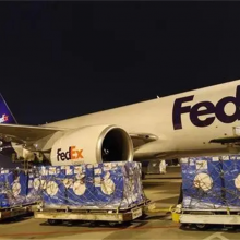 ItalyImportandexportbysea ItalyDDP Italy thumbnail-5