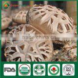Organic Fresh Dry Edibal Mushroom Cultivation China Supplier Seller Shiitake Mushroom Growing Kit thumbnail-1