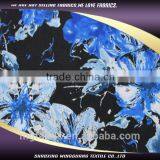 Printed Fabric for Dress Long Beach Dress