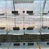 2016 Best-selling Cheap Rabbit Farming Cage thumbnail-1