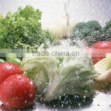 Vegetable Washer, Automatic Onion Peeler thumbnail-5