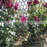 Best Quality Fence Mesh Chicken Wire Mesh 1/2-4 Inch thumbnail-1