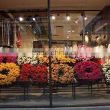 Artificial Flower Plants Design Decoration For Shoe Shop