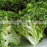 Chinese Healthy Snack Frozen Dried FD Dried Vegetables-FD Broccoli