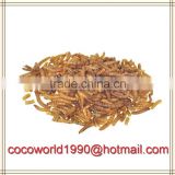 feeding bluebirds dried mealworms bulk