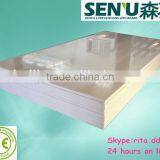 Waterproof Bathroom Decorative Wall and Foam Paddle Board