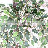 Artificial Indoor Ficus Tree thumbnail-3