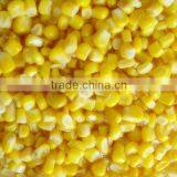 Canned Sweet Corn thumbnail-1