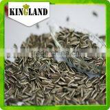 Lowest Price Sunflower Seeds for Little Bag Packing thumbnail-1