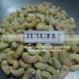 Vietnamese Cashew Kernels Best Price thumbnail-1