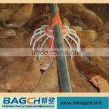 Automatic Chicken Poultry Feeding System/Automatic Feeding Line thumbnail-4