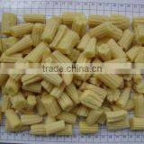 Fresh Baby Corn Cut From Vietnam thumbnail-3