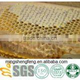 Best Natural Honey Comb With Plastic Box/ Pure Honey Bee Edible/ Raw Agricultural Suppliers thumbnail-4