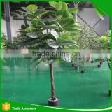 6ft Hotel Indoor Decoration Green Ficus Pandurata Tree Artificial Plants