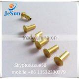Factory Export:rivet Screw From China thumbnail-1