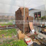 Glass Automatic Commercial Greenhouse For Sale thumbnail-2