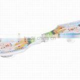 Kids Skateboard for Sale