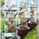Mini Garden Greenhouses For Vegetables Used thumbnail-1
