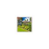 High Imitation Artificial Landscaping Grass Ornamental Grasses Garden thumbnail-2