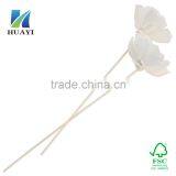 Sola Flower thumbnail-2
