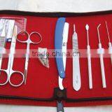 Frog Dissecting Kits thumbnail-1