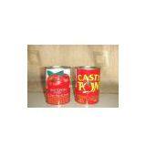 Tomato Paste Tomato Ketchup thumbnail-1
