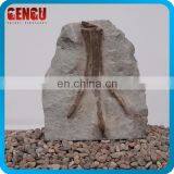 Museum Exhibits Yandusaurus Dinosaur Fossils