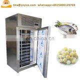 Fish Storage Freezer / Quick Freeze Tunnel / Iqf Frozen Fruit Machinery thumbnail-1