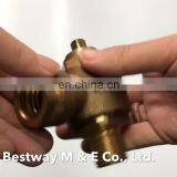 Gunmetal LG2 Bronze Hose Ferrule Valve With Compression Fitting