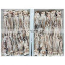 Good Price Frozen Illex Squid Tentacles Glazing