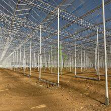 Venlo Glass Greenhouse