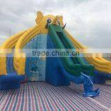 2015 Hot Sale Inflatable Water Slide,slider With Three Lines thumbnail-3