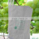 Factory Price Different Size Fruit Growing Bag thumbnail-2